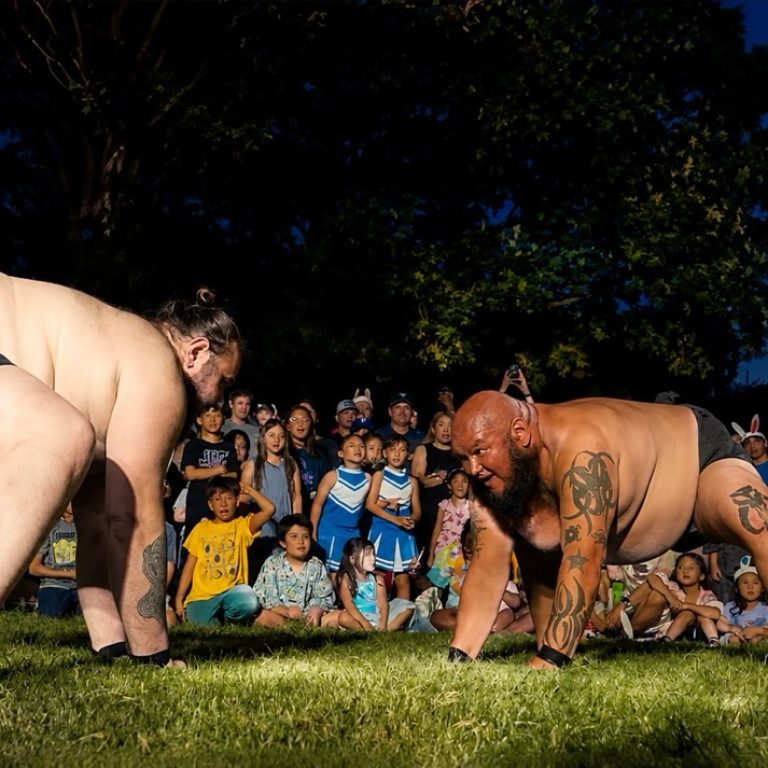 Sumo Images Large